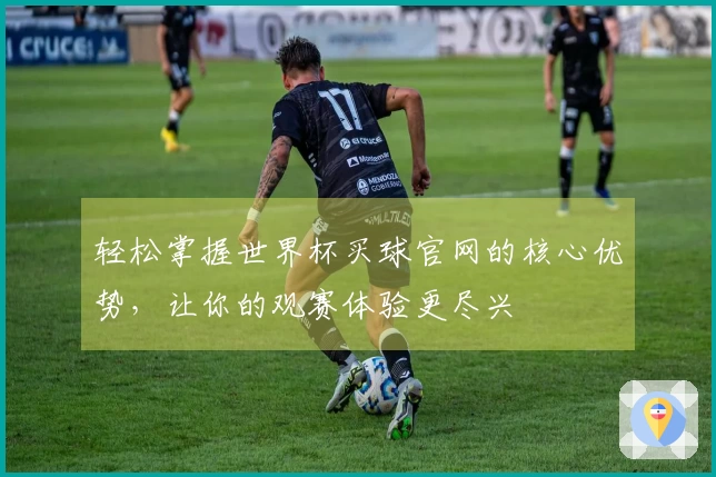 轻松掌握世界杯买球官网的核心优势，让你的观赛体验更尽兴